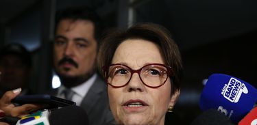 A deputada federal e futura  ministra da Agricultura no governo de Jair Bolsonaro, Tereza Cristina,dá entrevista na saída de sua residência em Brasília.