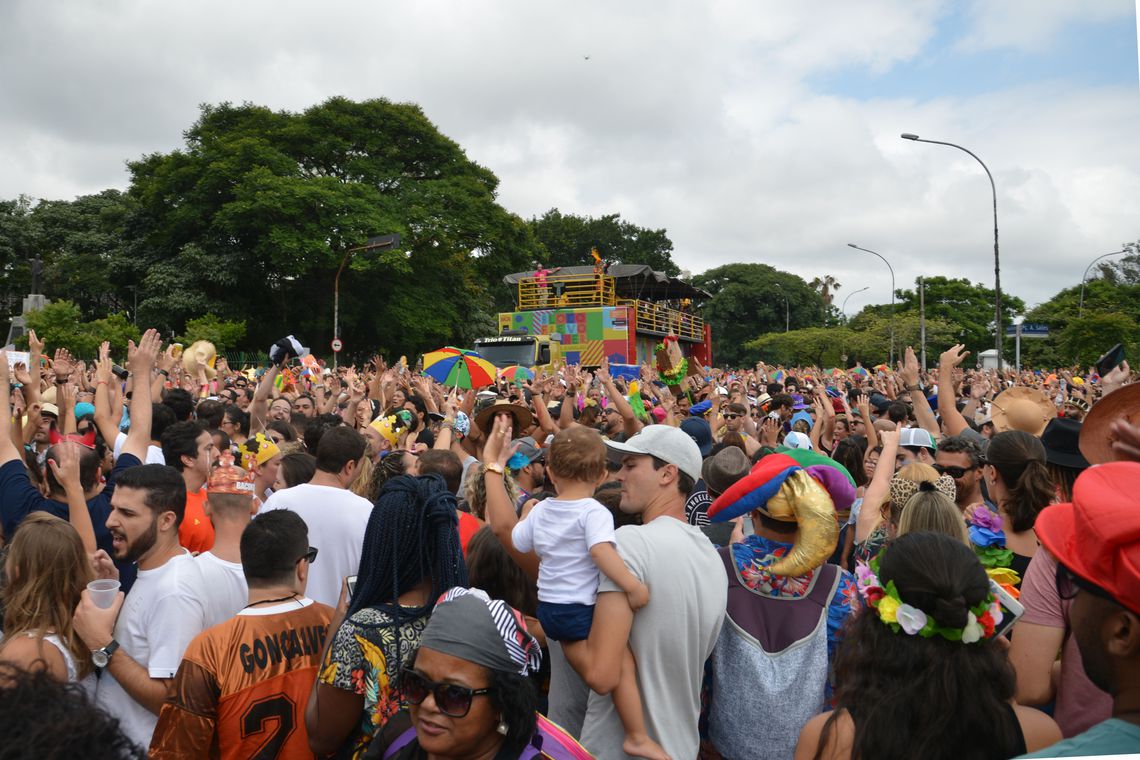 São Paulo - O bloco Frevo Mulher, comando a cantora Elba Ramalho no Ibirapuera, anima o pré carnaval paulistano (Rovena Rosa/Agência Brasil)