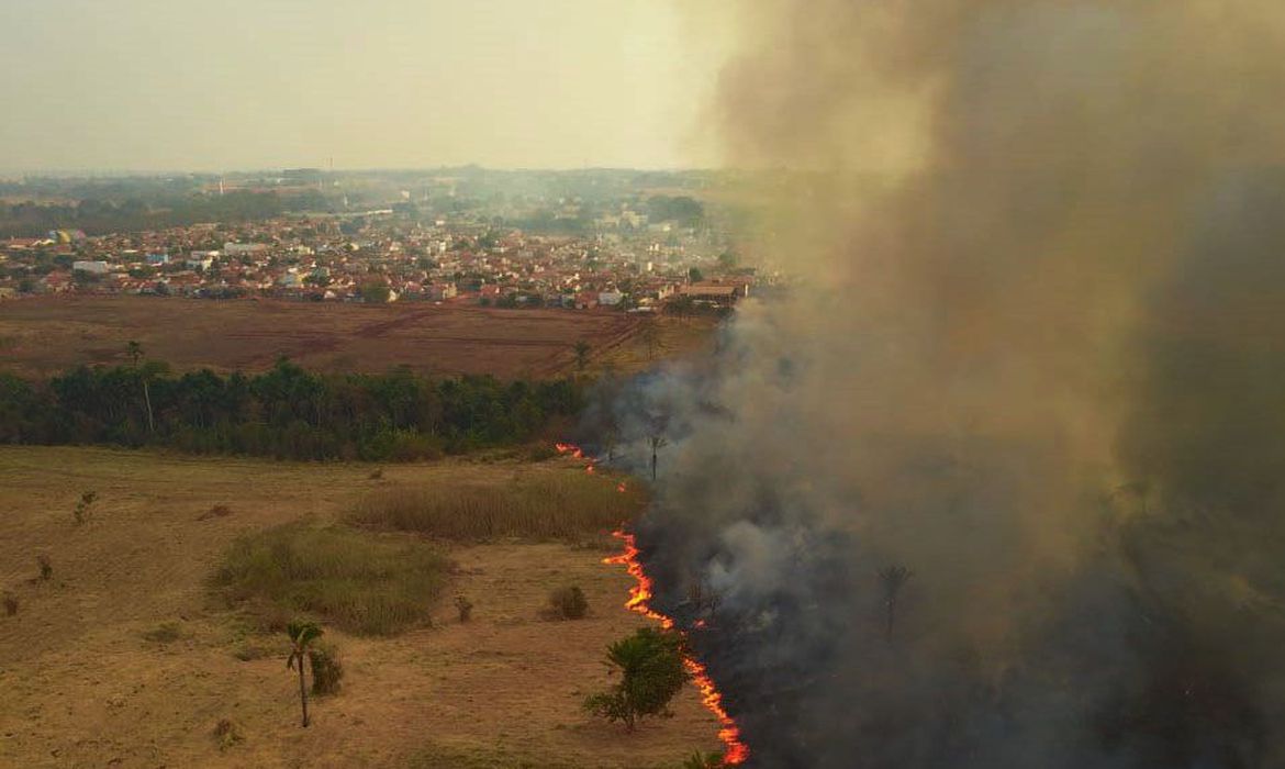 Mato Gosso MT 13 09 2020-Incêndio no Pantanal A Delegacia de Meio Ambiente (Dema) apura quem são os possíveis responsáveis pelos focos de incêndio, que deram início a grandes queimadas no Pantanal. As cinco perícias realizadas pelo Centro Integrado Multiagências de Coordenação Operacional (Ciman-MT) apontaram ação humana como causa da origem das queimadas na região foto Mayke Toscano/Secom-MT