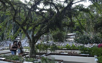 Jardim Botânico do Rio de Janeiro reabriu hoje (30) o Jardim Sensorial, espaço que oferece um conjunto de plantas com diferentes texturas e aromas, que os visitantes podem tocar e cheirar (Tomaz Silva/Agência Brasil)
