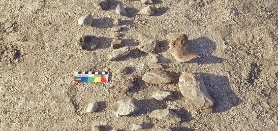 Fósseis de animais históricos encontrados em Gararu