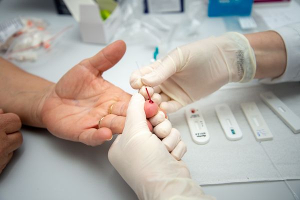 teste hepatite