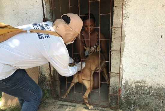 vacinacaoantirabica_fotoaan_250922