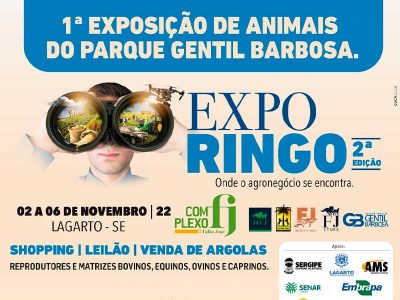 exporingo-400×300 exporingo-400x300