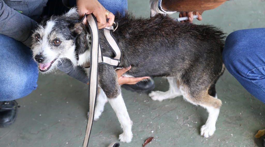 phpThumb_generated_thumbnail