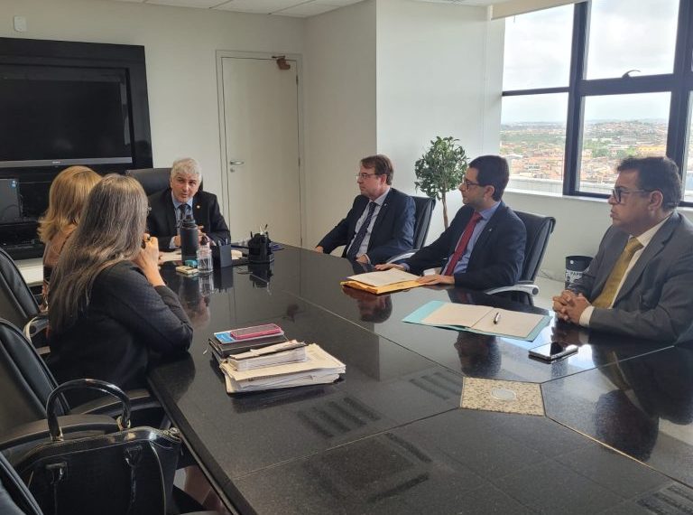 03-Reuniao-MPSE-e-MPSE-GTAC-768×576 03-Reuniao-MPSE-e-MPSE-GTAC-768x576