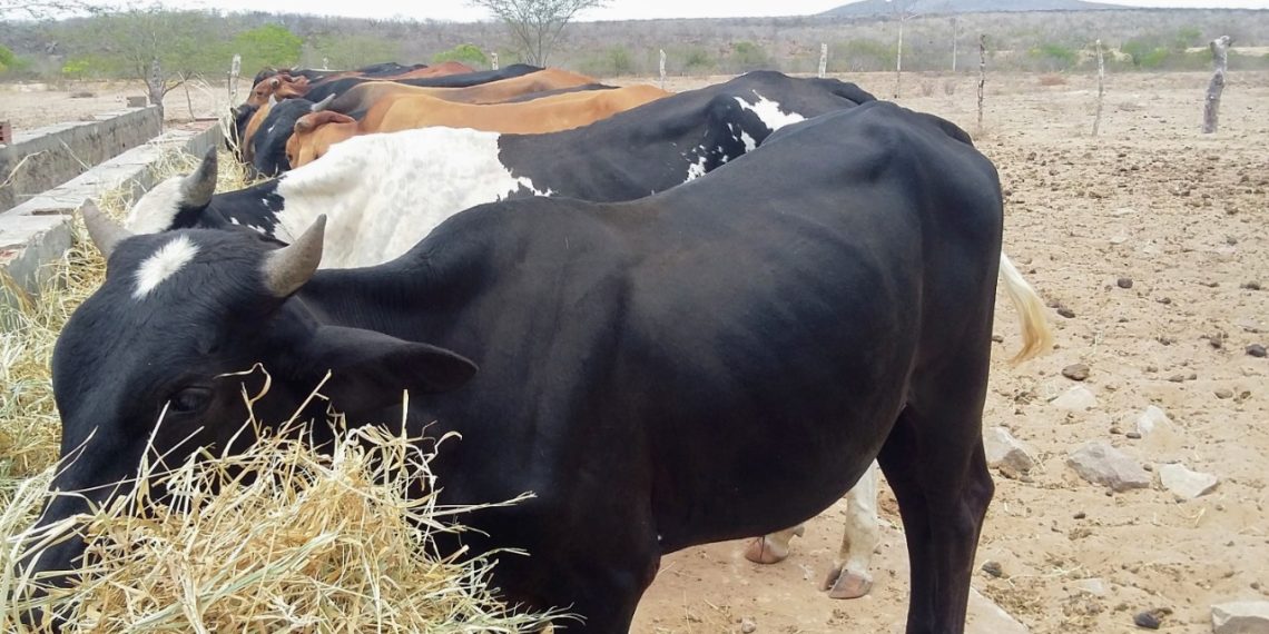 e72f53989081fa80ff2c1ec8f966dba4