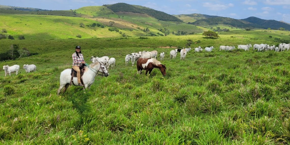 WhatsApp Image 2023-02-27 at 16.02.53 WhatsApp Image 2023-02-27 at 16.02.53