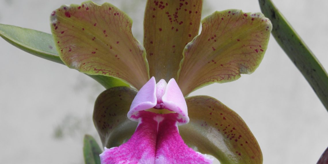 WhatsApp Image 2023-02-28 at 14.55.54