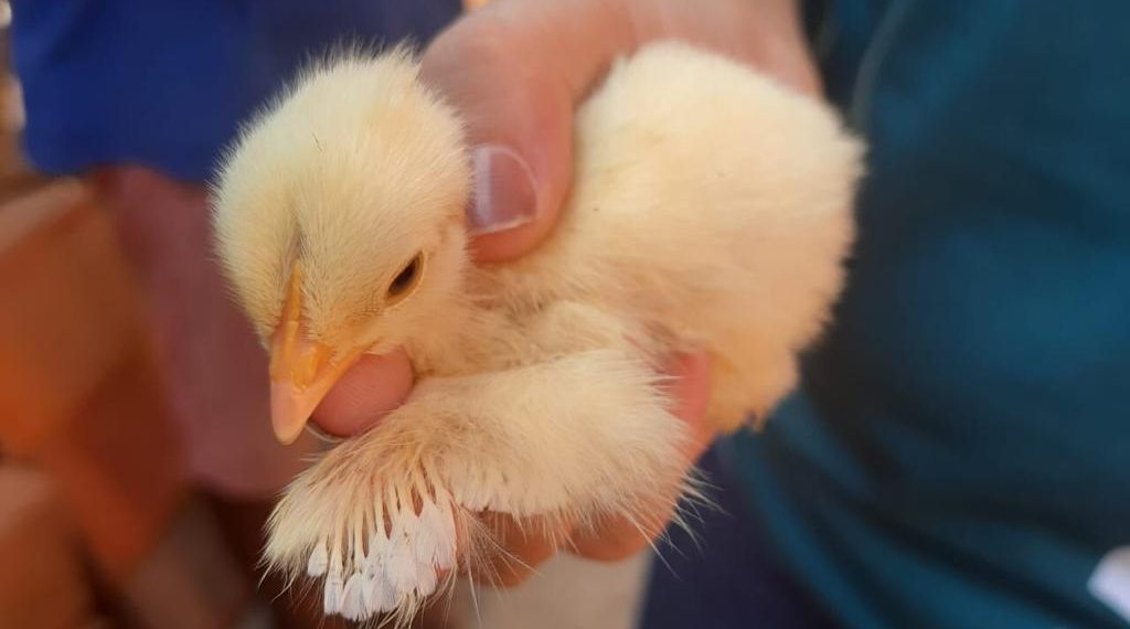 WhatsApp Image 2023-03-13 at 14.21.25