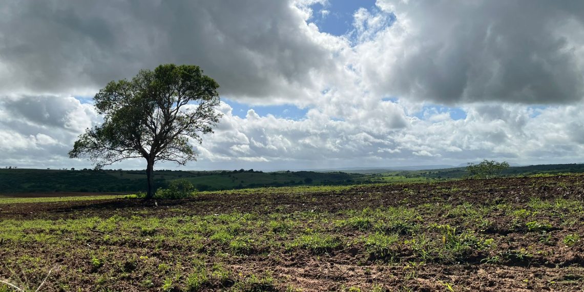 WhatsApp Image 2023-03-24 at 15.49.14