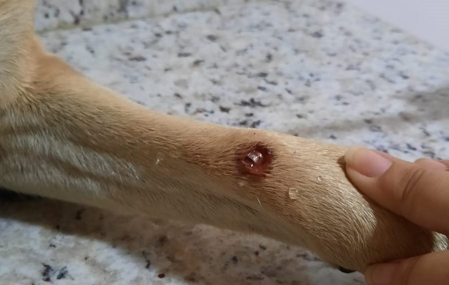 WhatsApp Image 2023-03-29 at 15.50.42