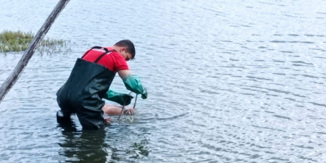 WhatsApp_Image_2023-03-01_at_21..2e16d0ba.fill-2220x1000