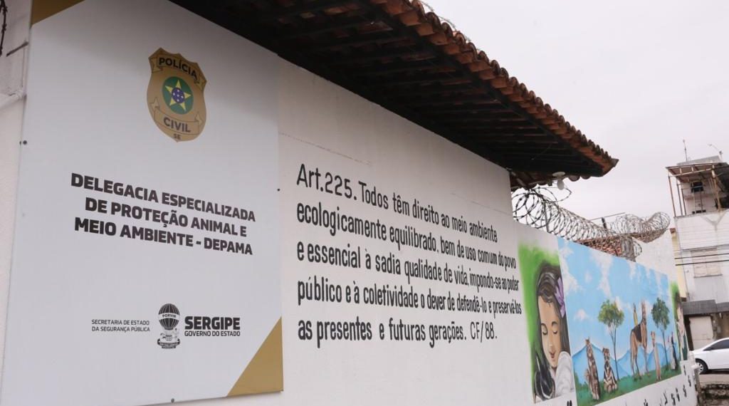 depama4