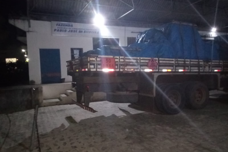 cats-28 (2) cats-28 (2)