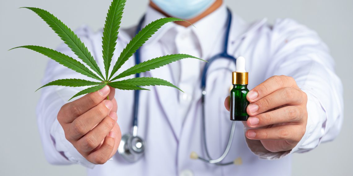 medical doctor holding cannabis leaf and bottle of cannabis oil on white background.