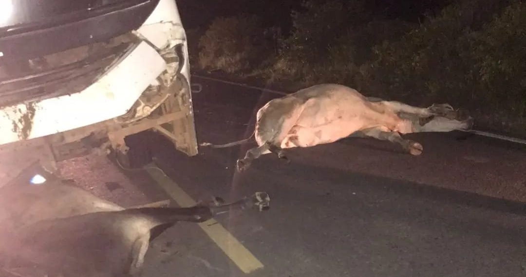 WhatsApp_Image_2023-09-28_at_20.34.37