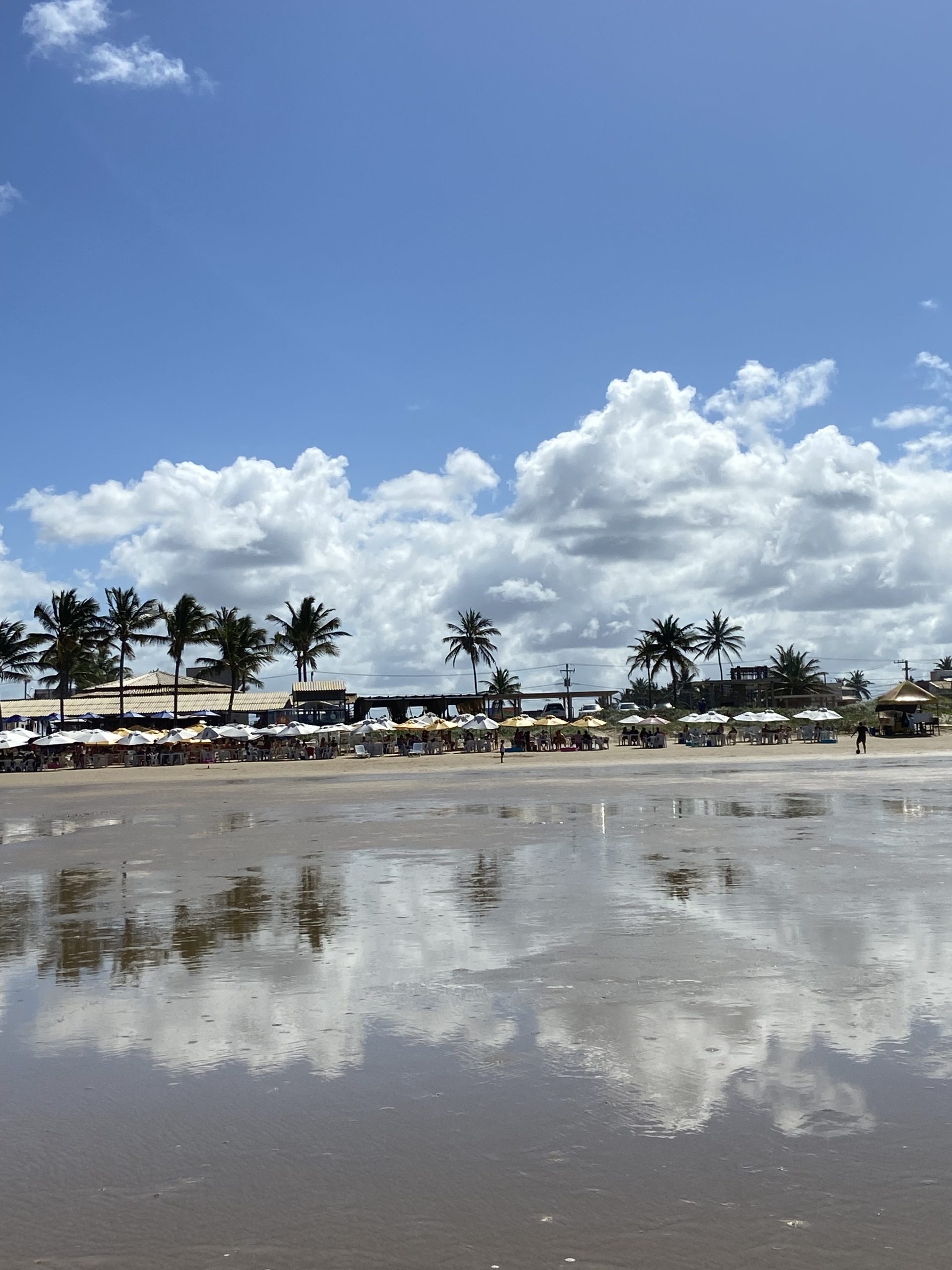 PRAIA ENSOLARADA