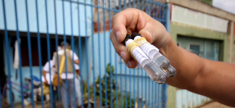 ac044d91-3312-4a01-8f23-57c8980ce5fa