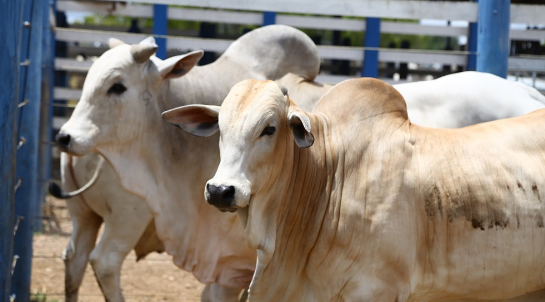 slide_1f76263dc9ca1cdb4eccae8928c02270