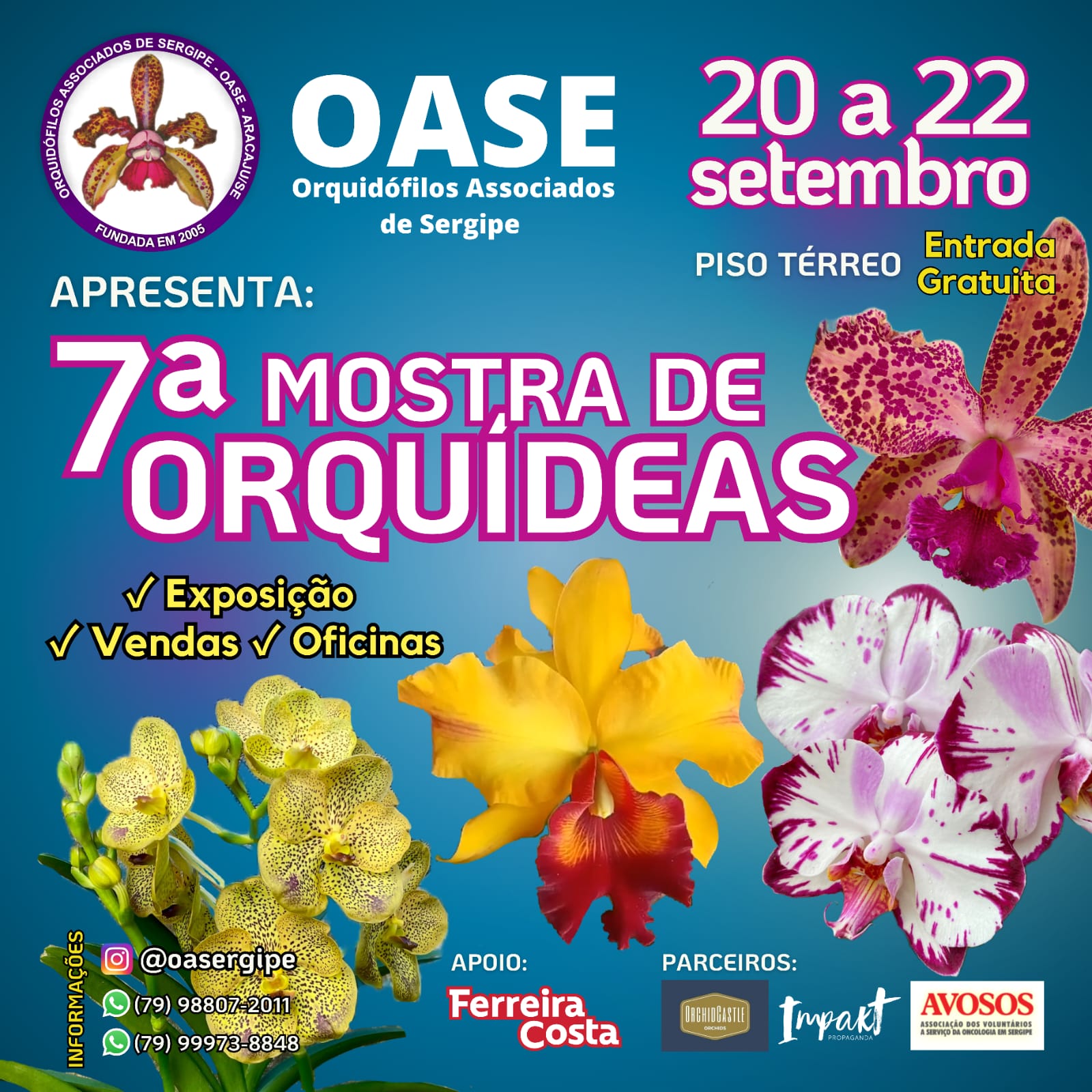 7a MOSTRA OASE - Primavera OASE - F Costa 2024