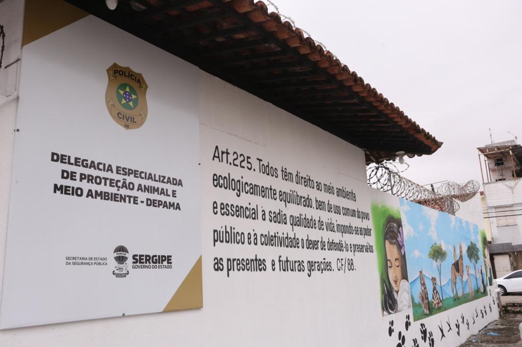depama4-2-1