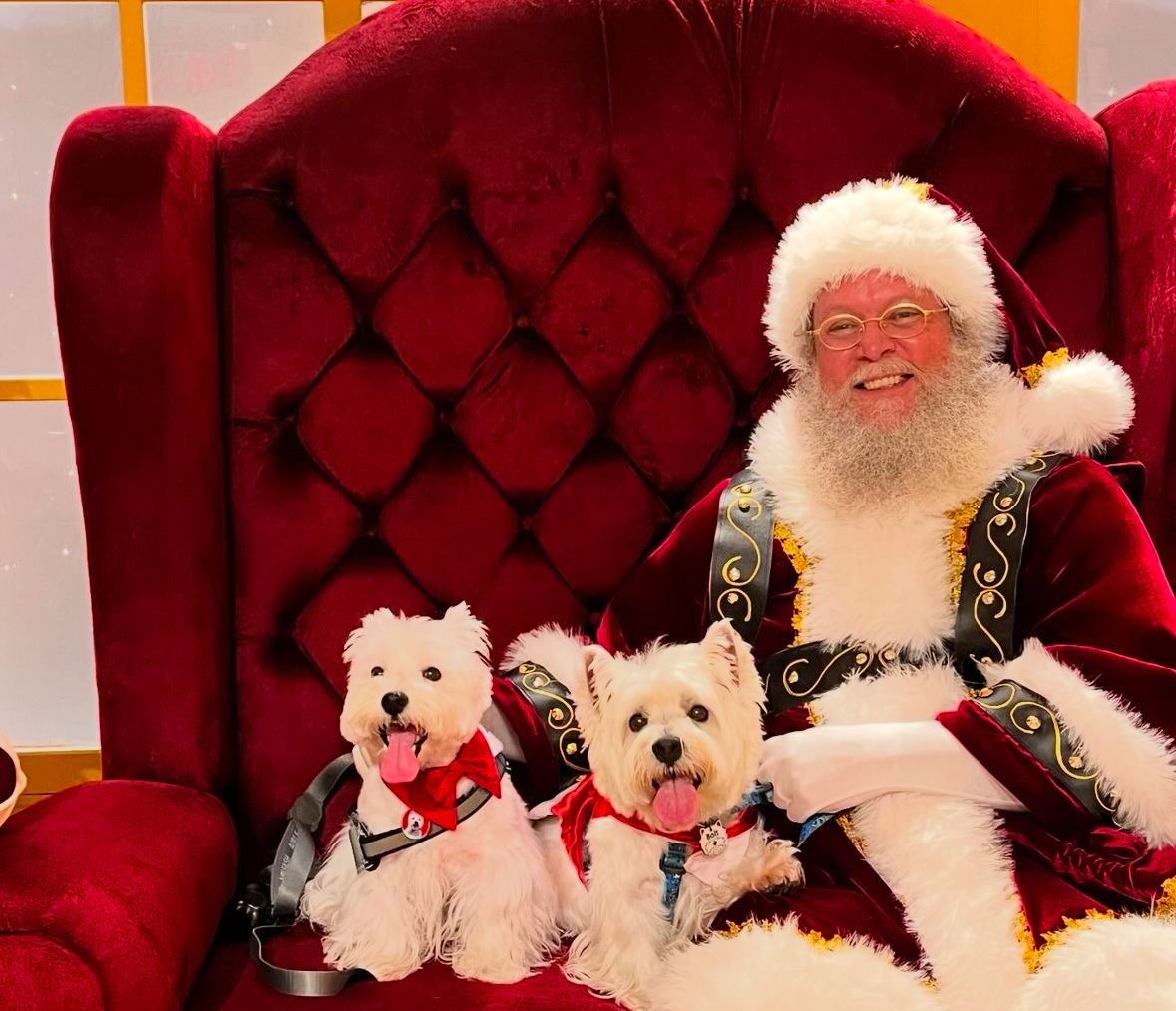 Encontro de Pets com Papai Noel.1