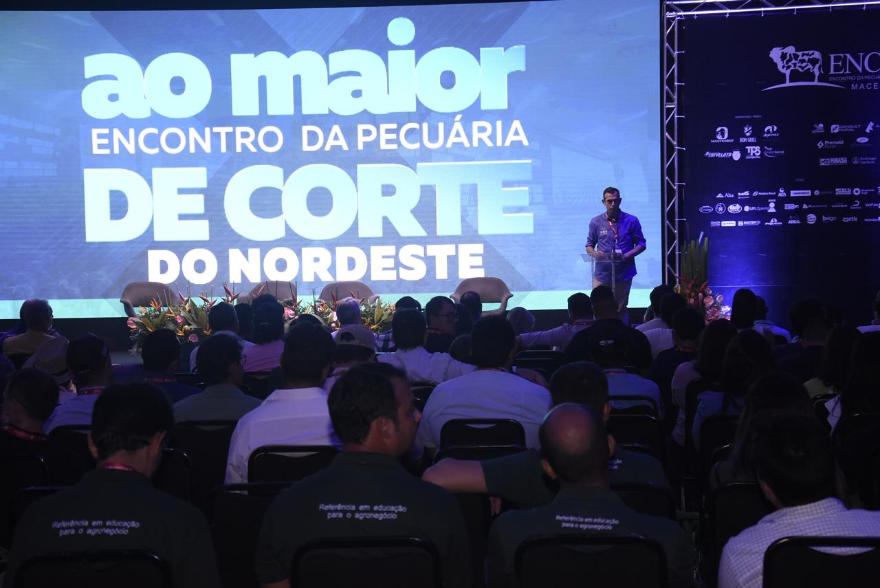 encorte_arquivoo_edição2024