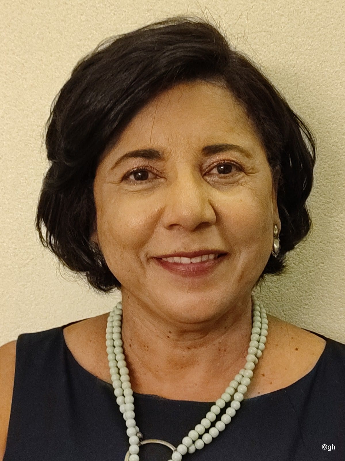 Dora Rosa Horlacher_Presidenta do CRESS