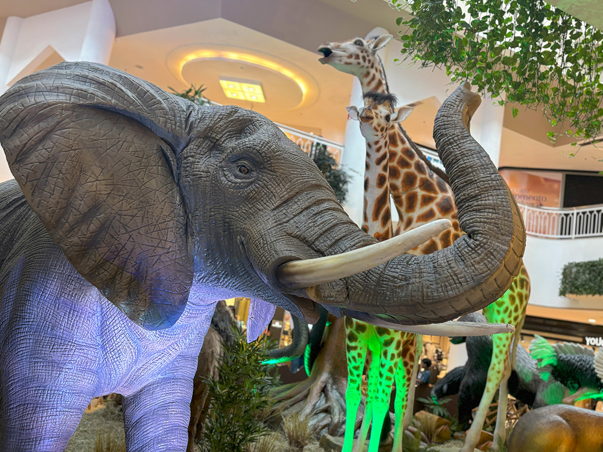 Smart Zoo no RioMar Aracaju_
