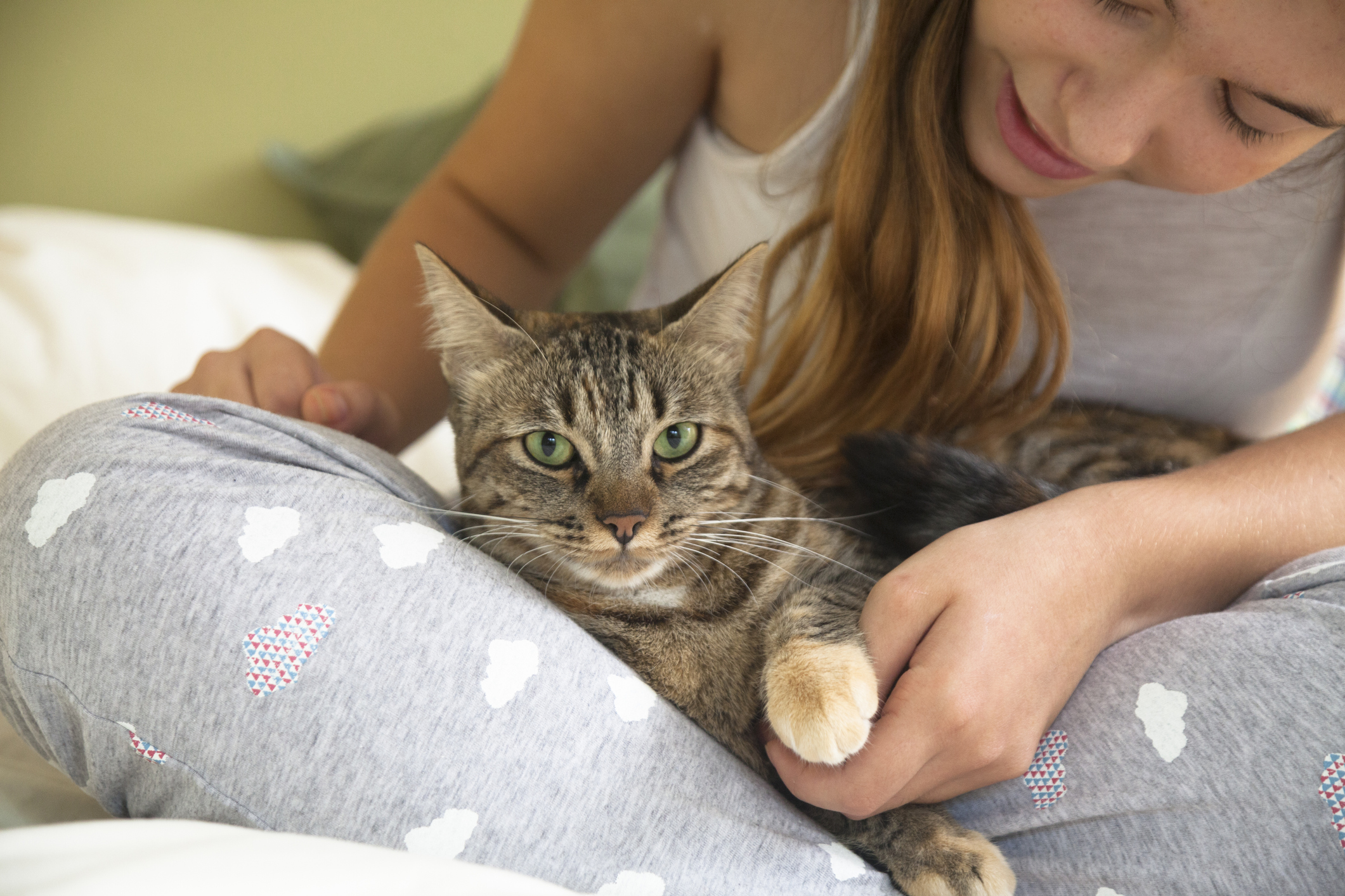 Cat and teenager girl in the bedroom