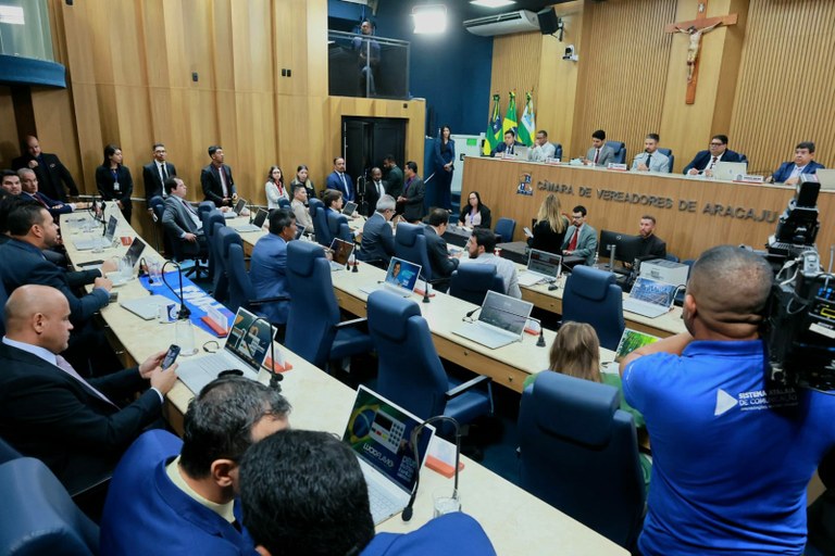 image_large (2)