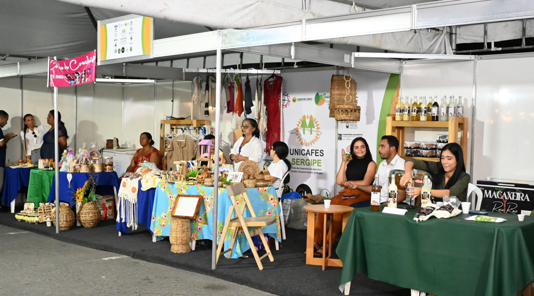 slide_4d5a387c27a5adcf2741742a10960f11