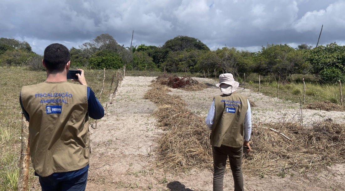 slide_455d96eee544afcb3fc925ba855a6557