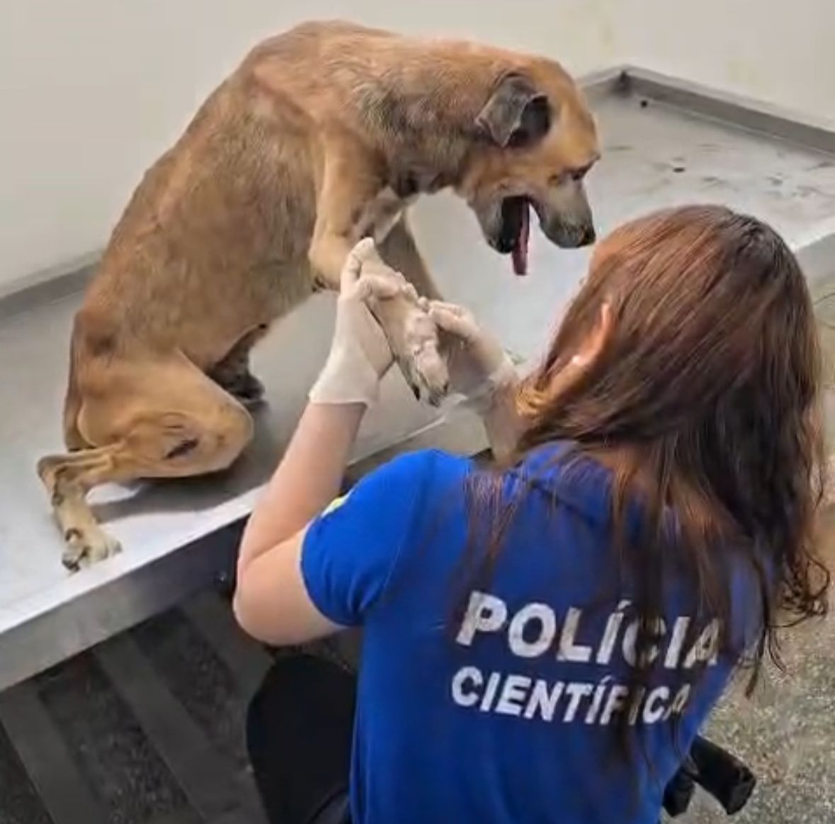 WhatsApp Image 2025-11-07 at 08.26.49