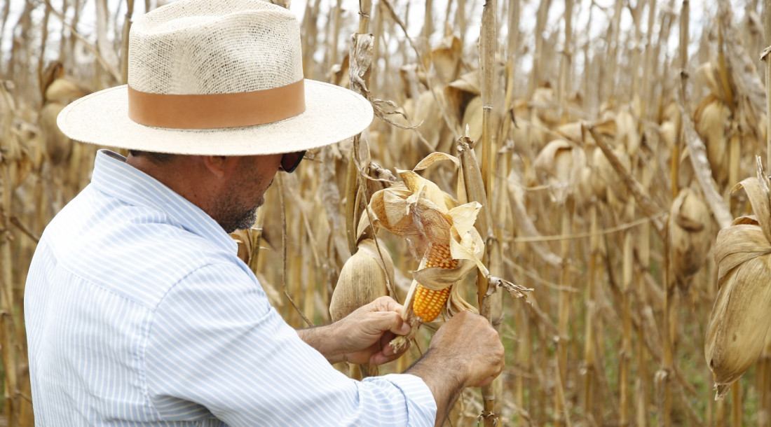 slide_39c3992b8d1760696d4f3b45a111dc5b