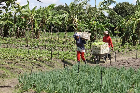 agricultura-familiar-foto-ascom-seagri-02042020