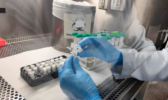 Lacen-monitora-circulacao-de-virus-respiratorios-em-Sergipe-foto-FSPH