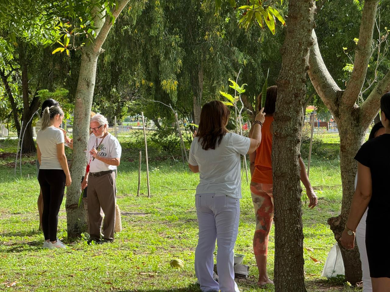 Roda de benzimento (3)