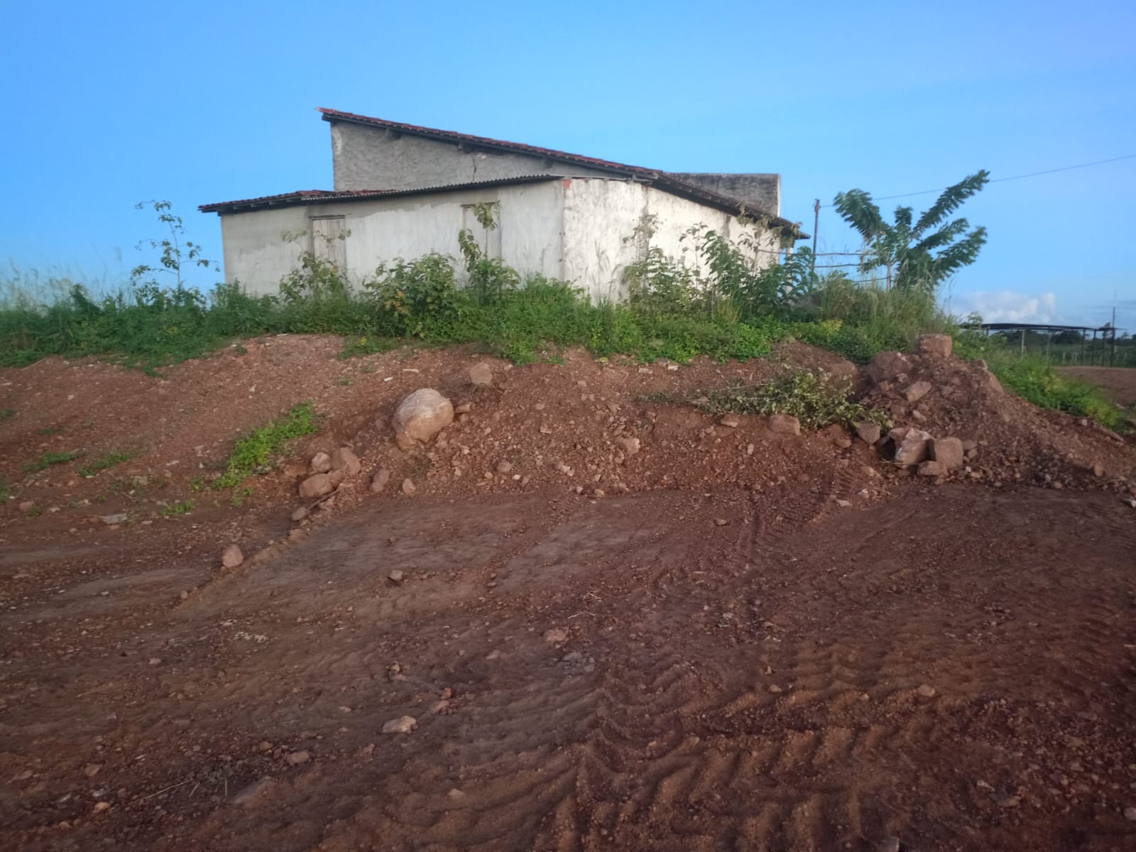 crime ambiental no assentameto José Felix de Sá 3