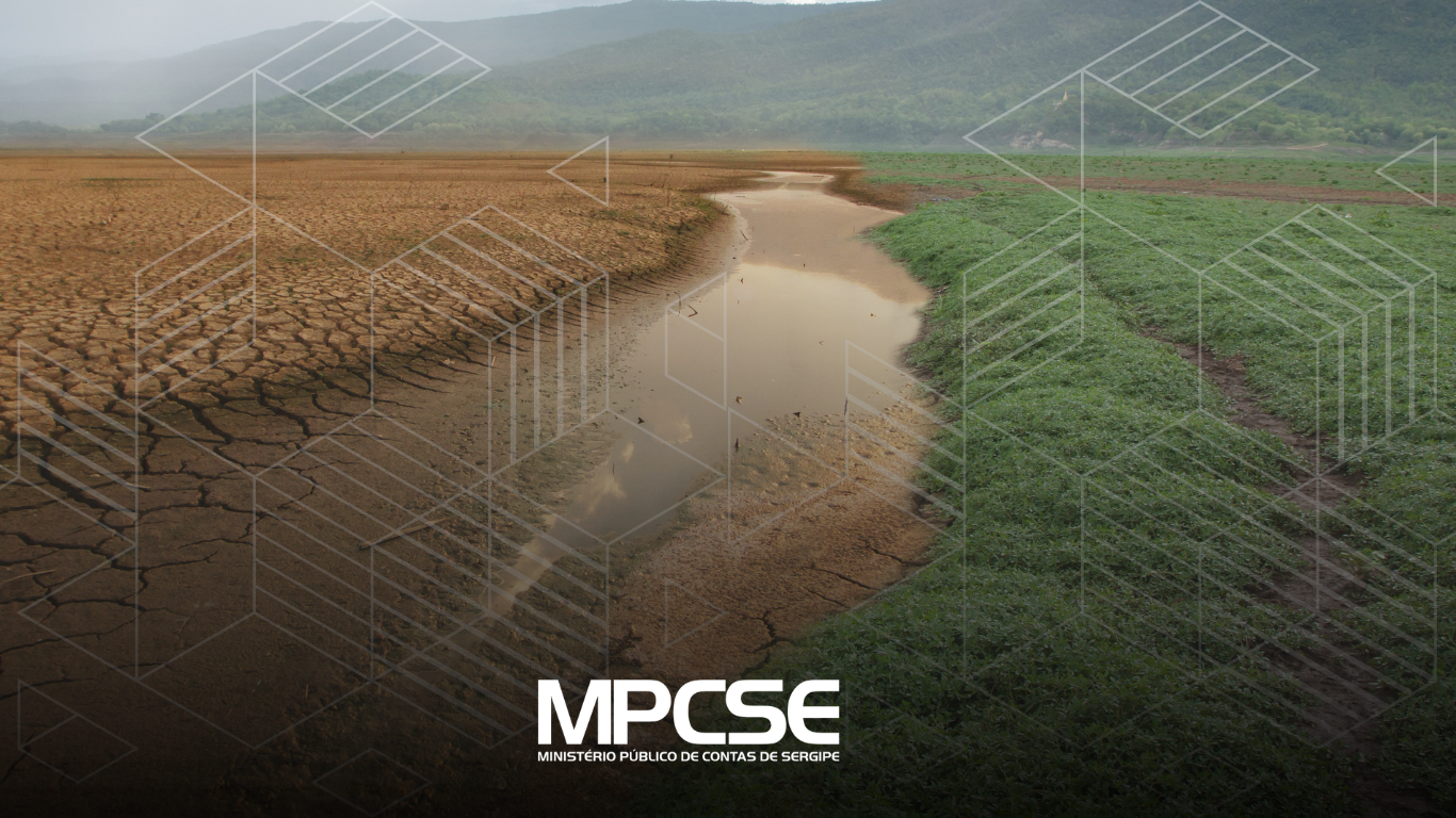 AÇÃO CLIMÁTICA