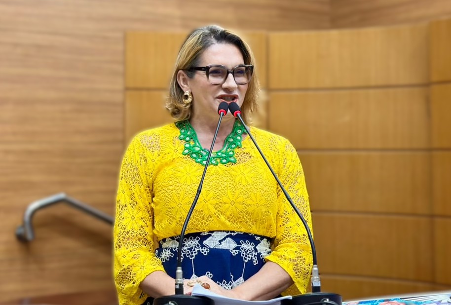 DEPUTADA LINDA BRASIL
