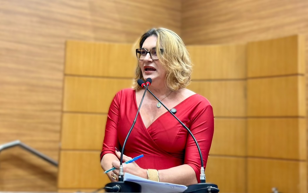 DEPUTADA LINDA BRASIL