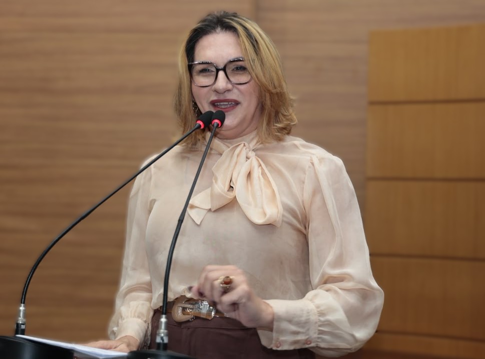 DEPUTADA LINDA BRASIL_DIVULGAÇÃO